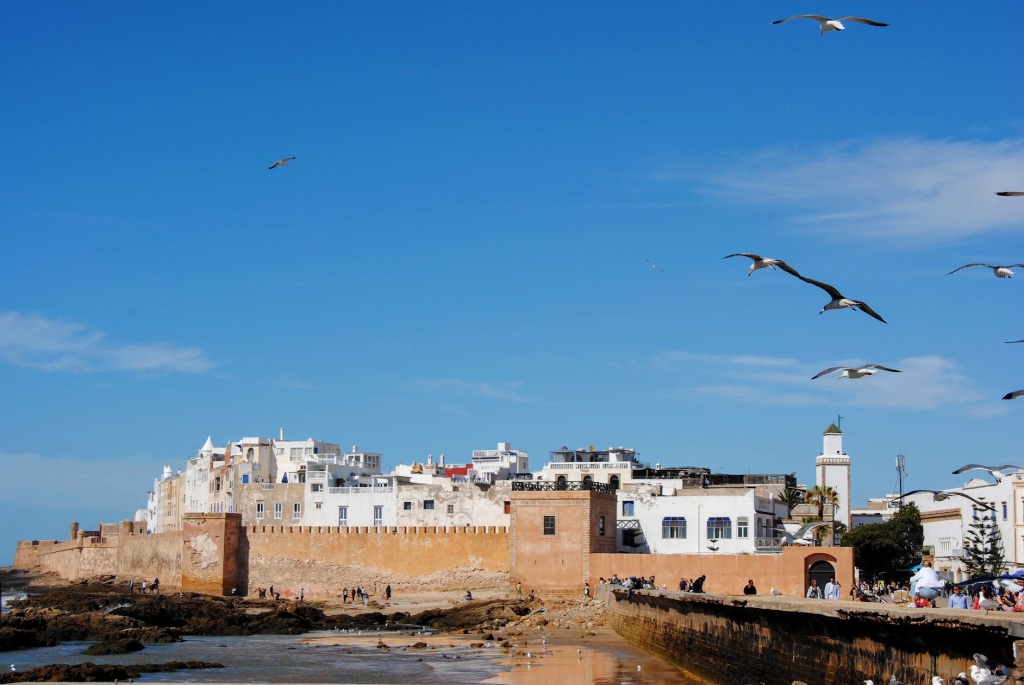 How to Take a Day Trip to Essaouira from Marrakesh